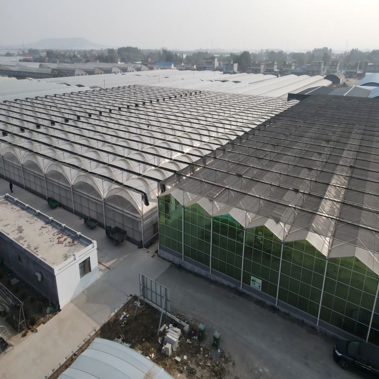 Multi Tunnel Greenhouse